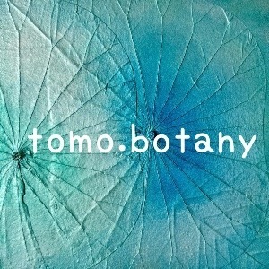 tomo.botany